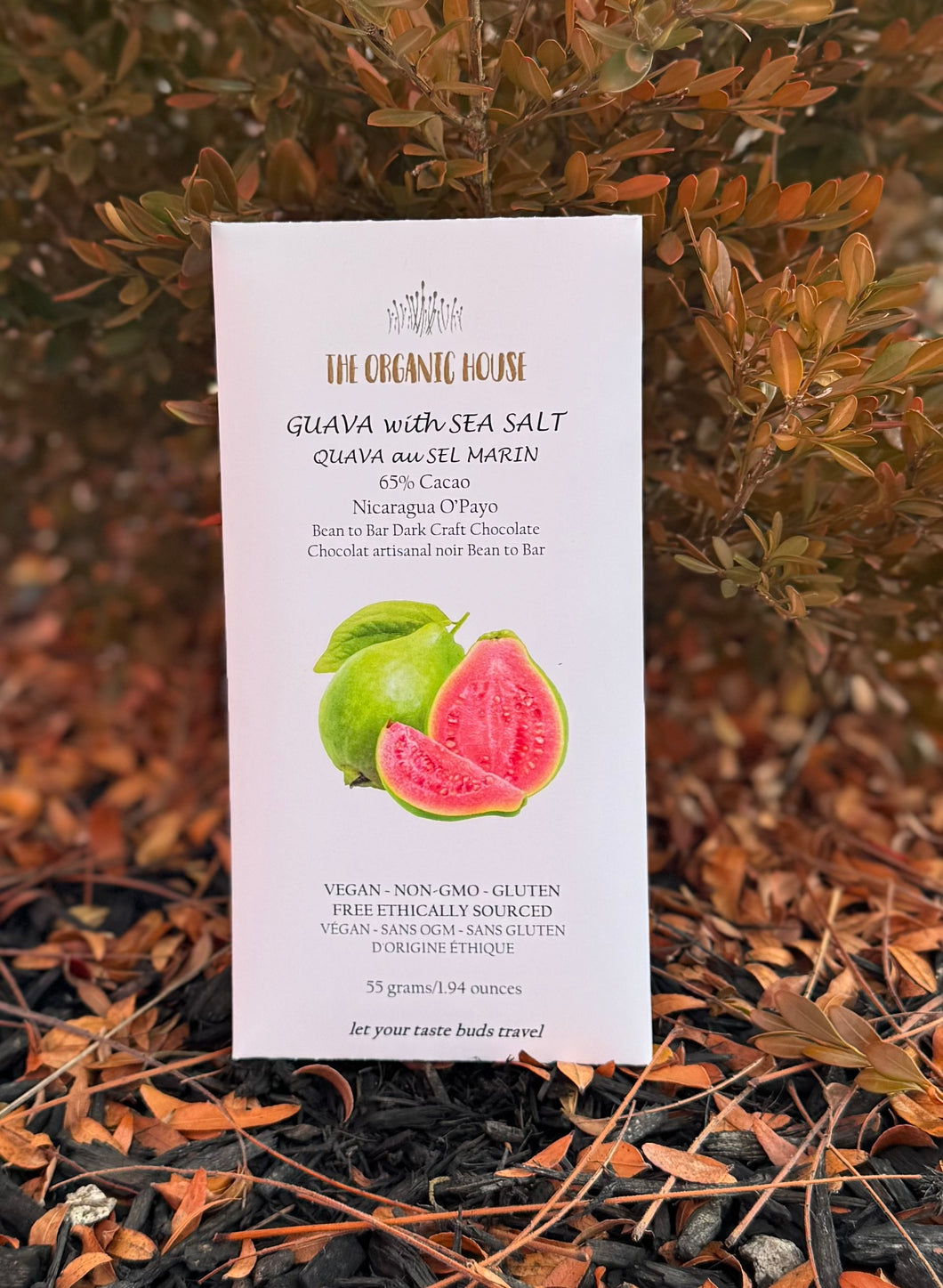 Guava and Sea Salt - 65% Cacao Nicaragua O'payo