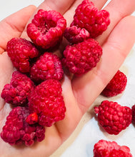 Load image into Gallery viewer, Freeze Dried Raspberries

