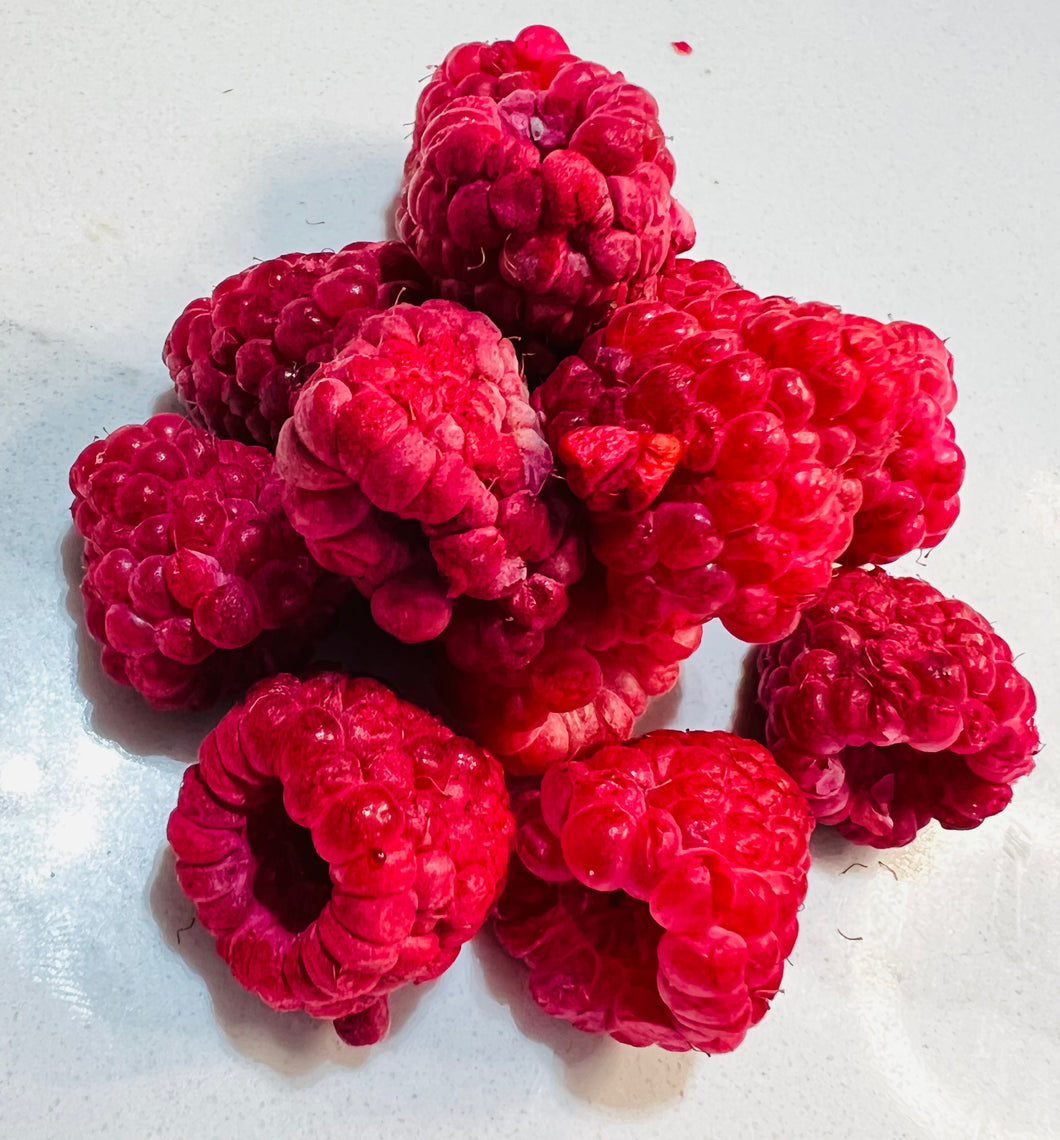 Freeze Dried Raspberries