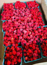 Load image into Gallery viewer, Freeze Dried Raspberries
